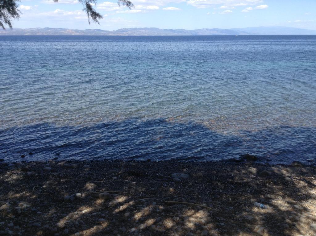 Rooms To Let To Kyma Skala Sikamineas Skala Sykamineas Rom bilde