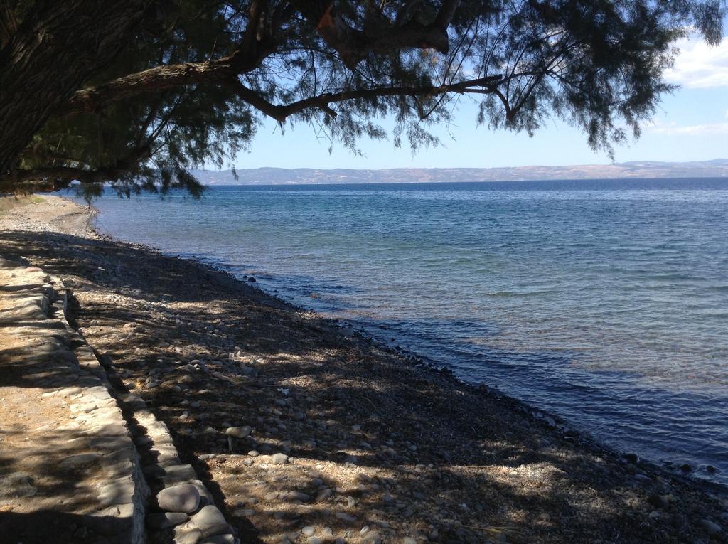Rooms To Let To Kyma Skala Sikamineas Skala Sykamineas Rom bilde