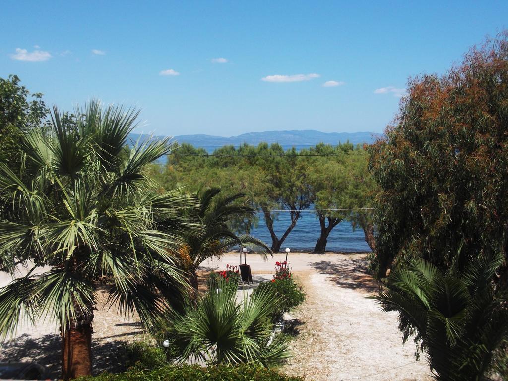 Rooms To Let To Kyma Skala Sikamineas Skala Sykamineas Rom bilde